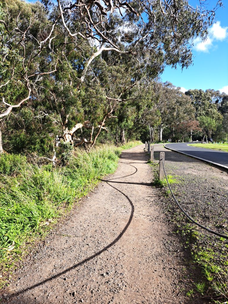 The gravel path alongside the Yarra River and Yarra Bend Rd