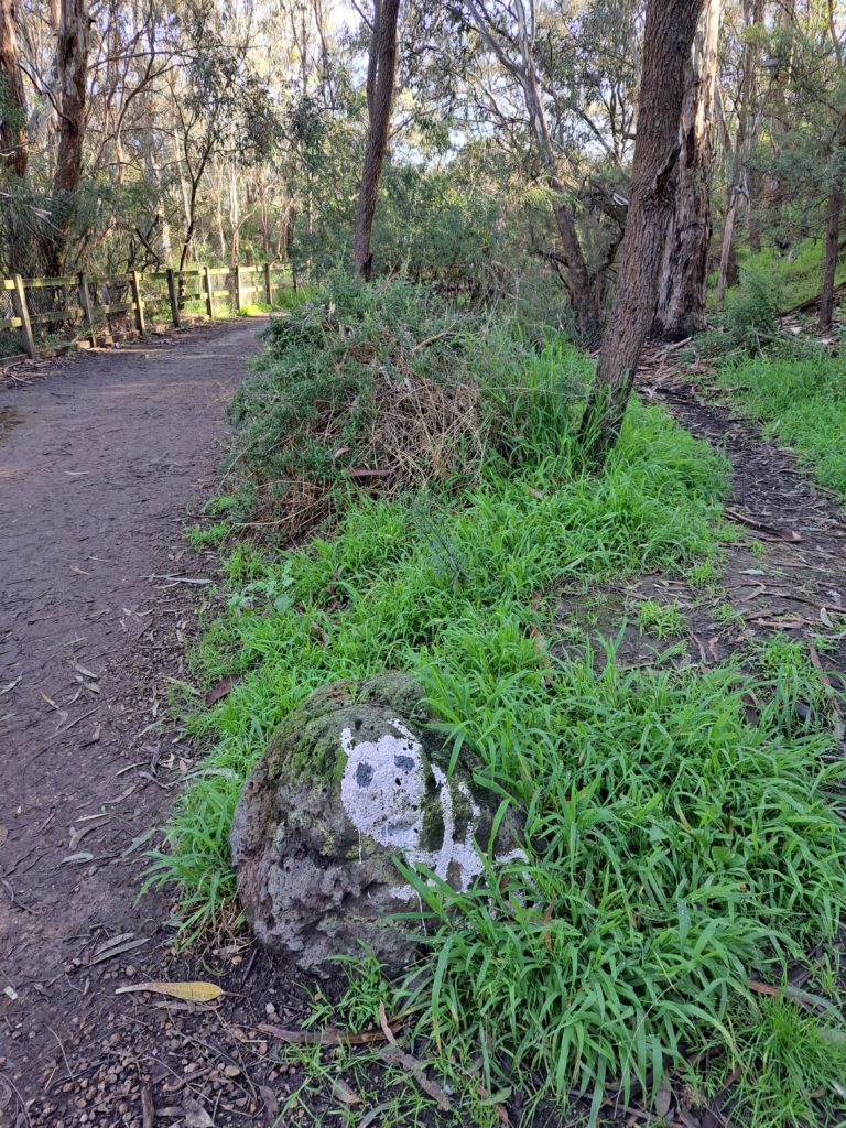 Rock beside gravel path in some grass that has a white dog skeleton with a happy smile painted on it.