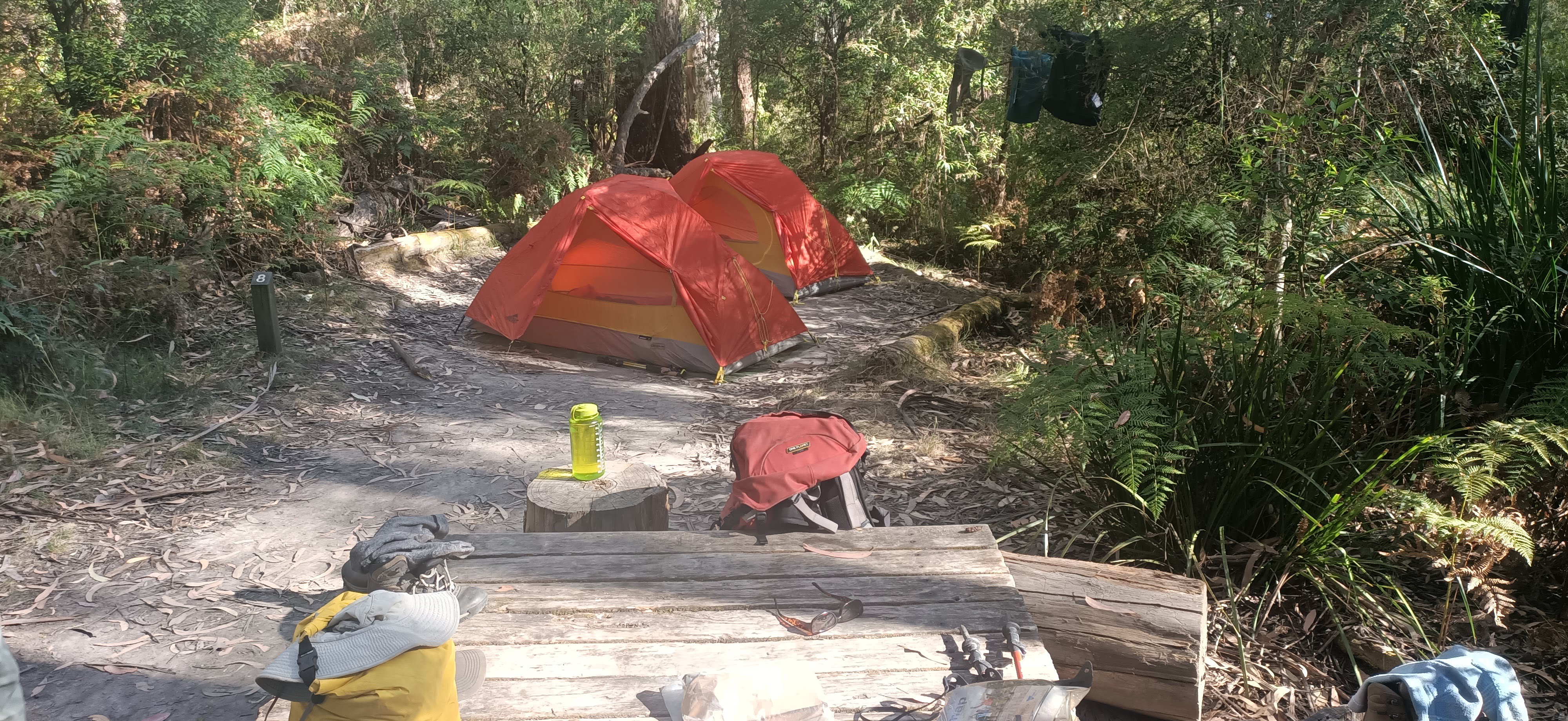 Two red tents and various hiking equipment set up across bare dirt that is surrounded by coastal bush. There is a wooden low table with camping equipment and backpacks surrounding it.