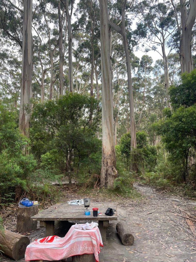 Elliot Ridge Hike-In Campground with low table in foreground of photo with hiking stove boiling water for an aero press and various hiking equipment laying ontop of the table. In the background there are many beautiful eucalypts towering high, surrounding the campsite.