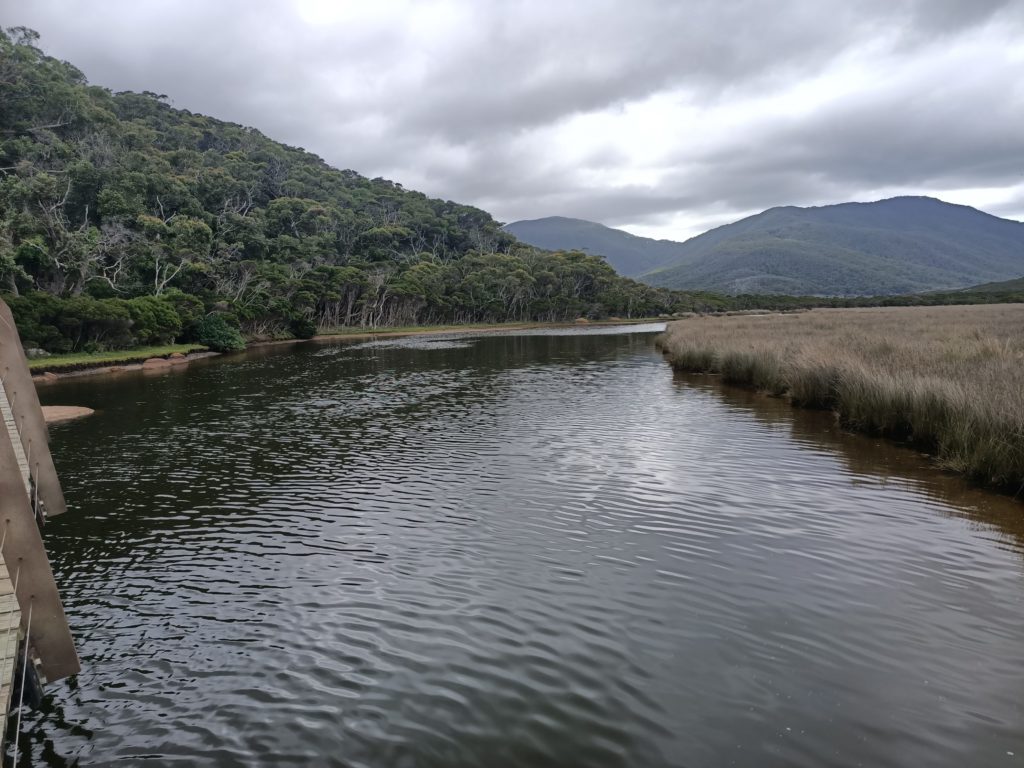 View from Tidal River Footbridge of tidal river. its brown water with grasses on the eastern side and a mountain covered in trees on the other side.