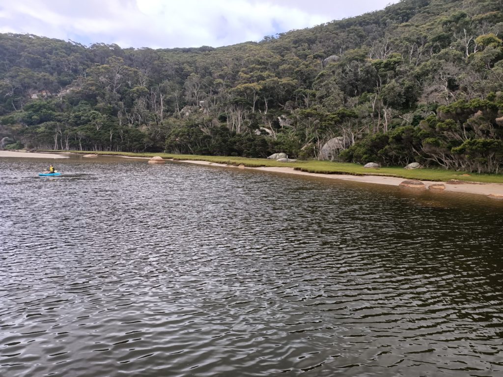 View from Tidal River Footbridge of tidal river and the saddle of a mountain covered in trees on the other side. With small grassy beaches on the edge of the river. There is also a person canoeing in the distance.