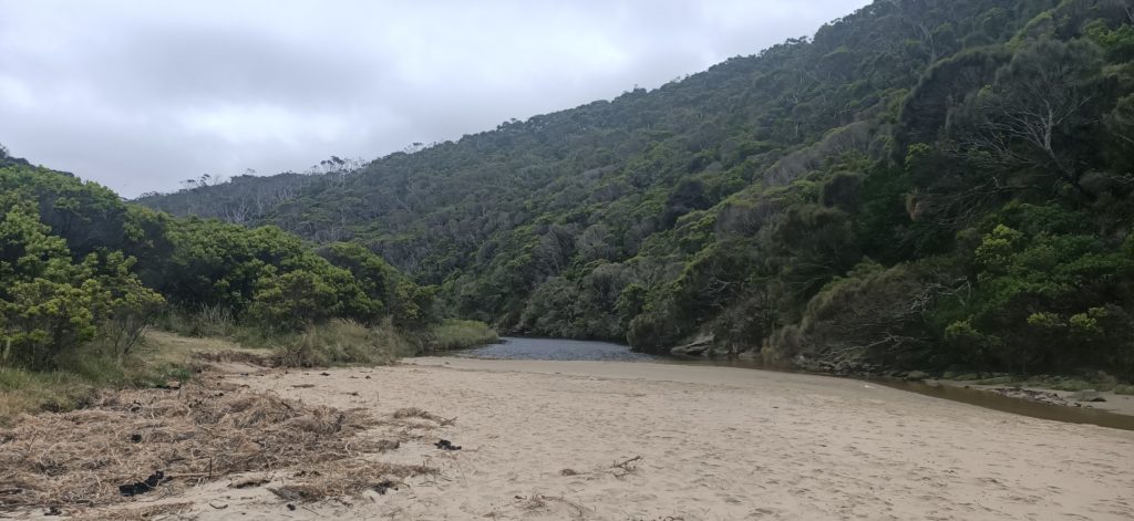 A sandy beach, Parker Inlet, is in the foreground. The mouth of Parker River is shown, due to it being low tide there is alot of beach without water. In the background are rolling hills of the great otway national park.