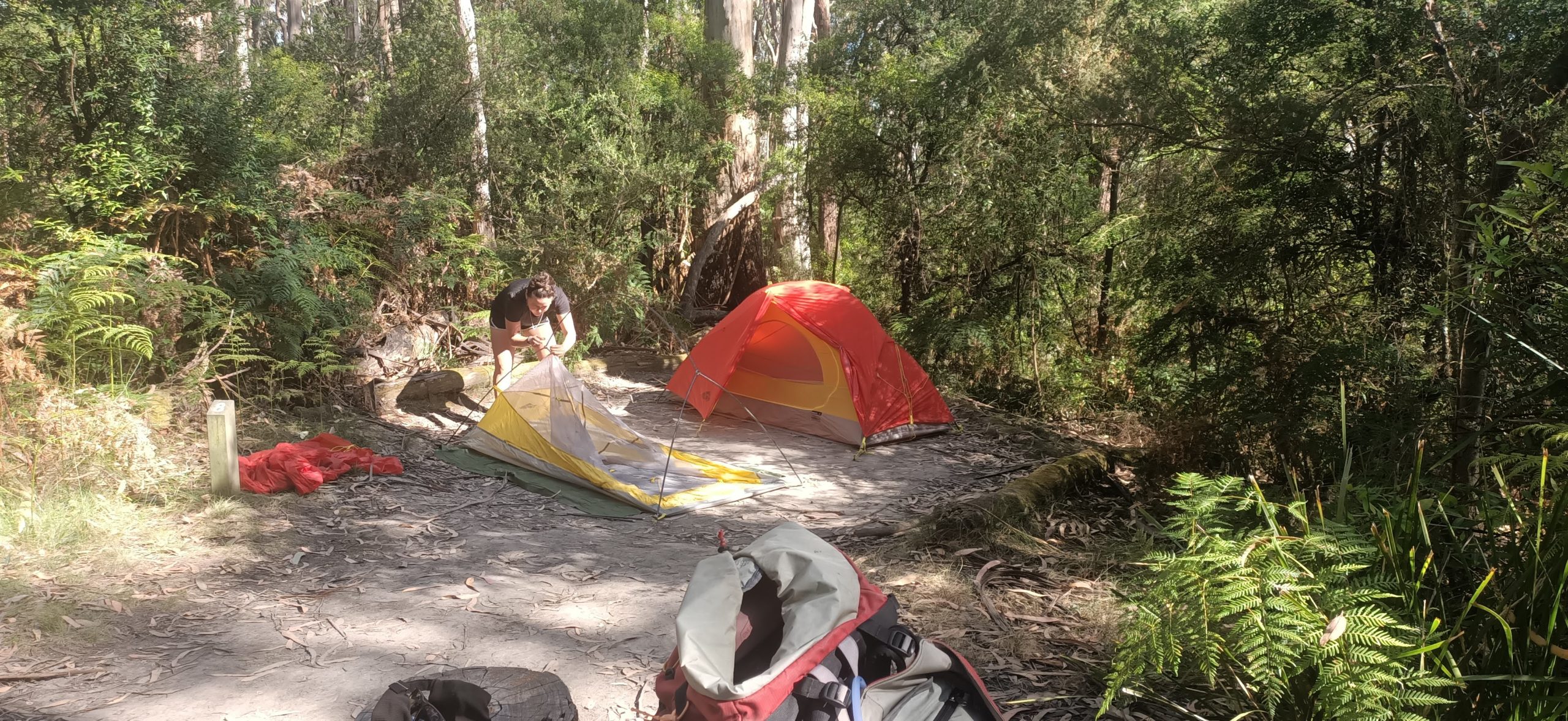 Midway through setting up two red tents and various hiking equipment set up across bare dirt that is surrounded by coastal bush. There is a hiking pack in the foreground of the photo.