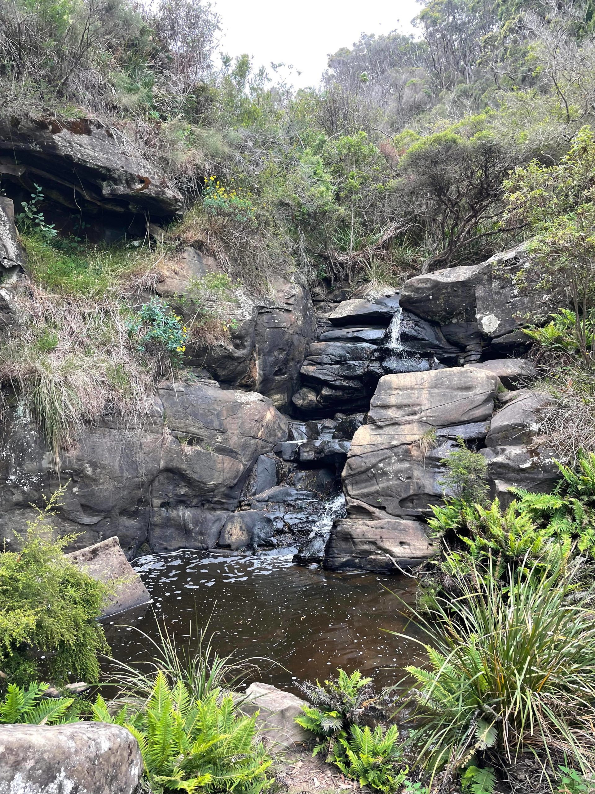 A small waterfall, there is a stack of large rocks in the right of the photo with a water trickling down into a small pond. To the left is a large boulder covered in grasses. The coastal scrub and grasses surround the pondage. 