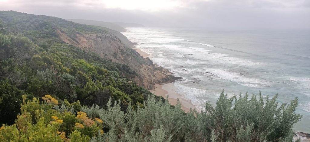 Coast Line with native shrubs in the foreground, cliffs on the left and the rough ocean on the right. Its extremely overcast but the sun is trying to poke through in the centre of the sky.