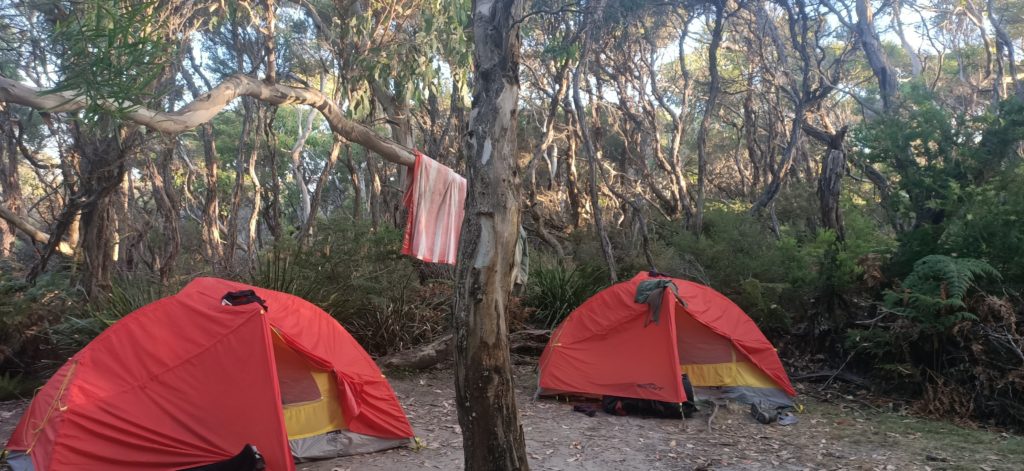 Two red tents set up on a sandy campsite. Tea trees surrounding the setup with the sunlight filtering through their branches.