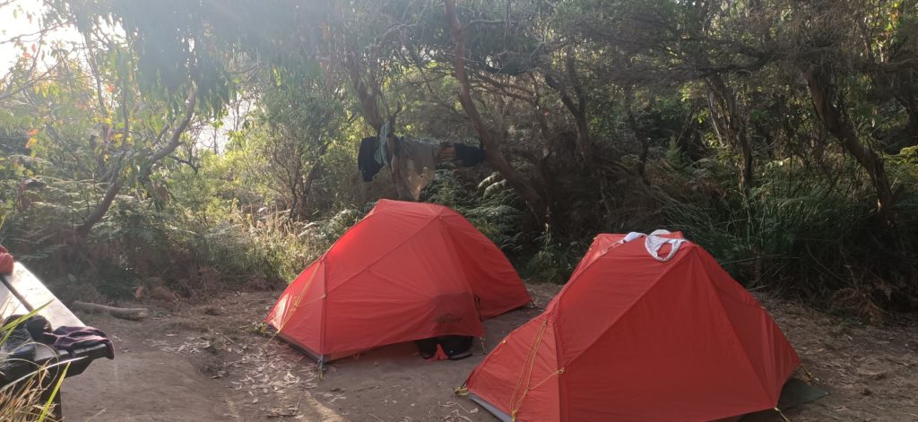 Two red tents on a sandy campsite surrounded by coastal shrubs and tea trees.