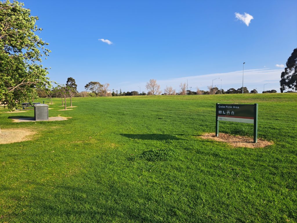 A grassy hill with  a bbq and picnic table in the left of the picture. Blue skies with only two tiny clouds.
