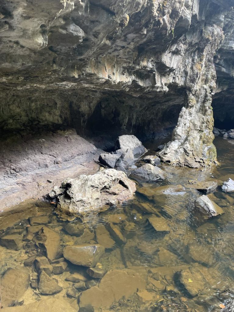 a closer look at the den of nargun. the clear water in the foreground you can see all the rocks on the bottom. You also can see the stalagmites and stalactites in the background of the cave.
