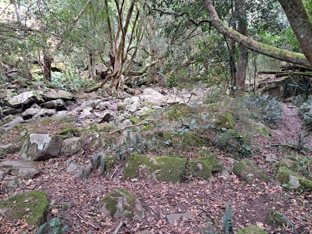 A photo of the rocky trail and the creek in the background.