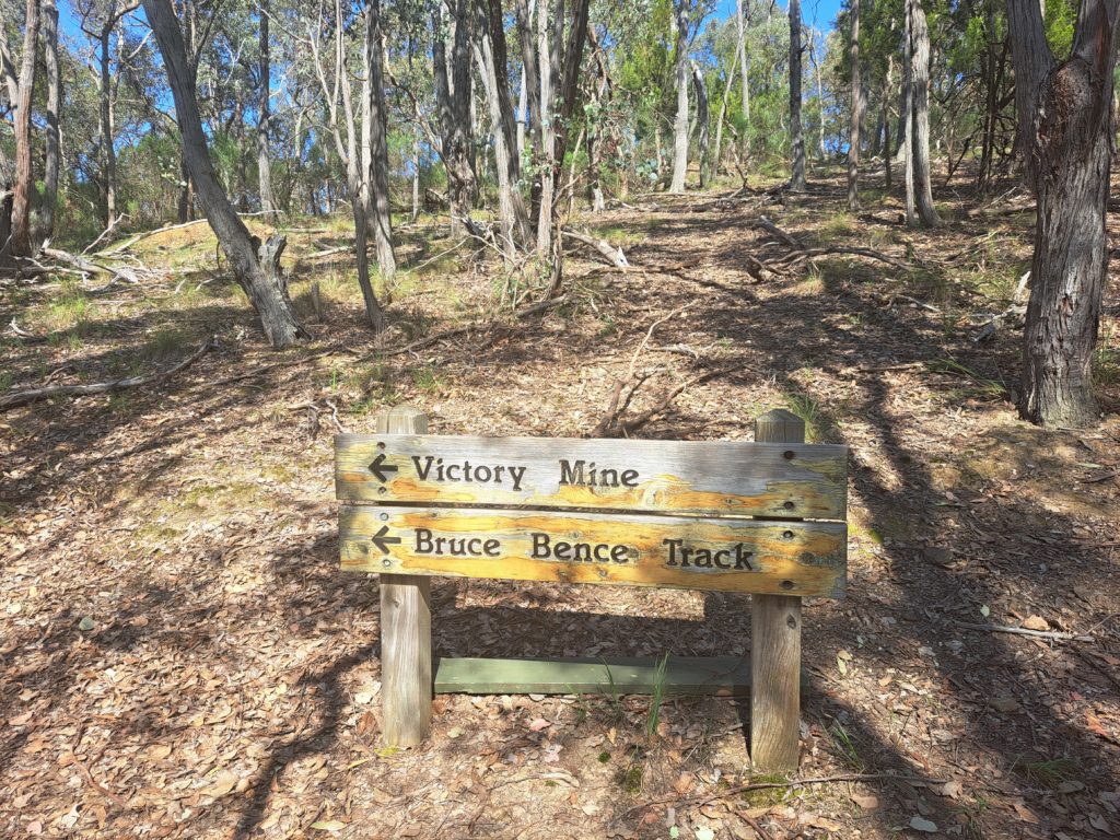 A view of the Bruce Bence Track sign and there is sparse forest behind it with brown leaf matter as the forest floor. 