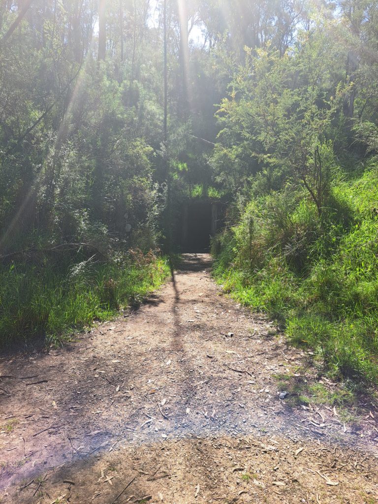 View of the Geraghty's Tunnel. A wide dirt trail in the foreground with steep grassy banks on either side leading towards the tunnel.