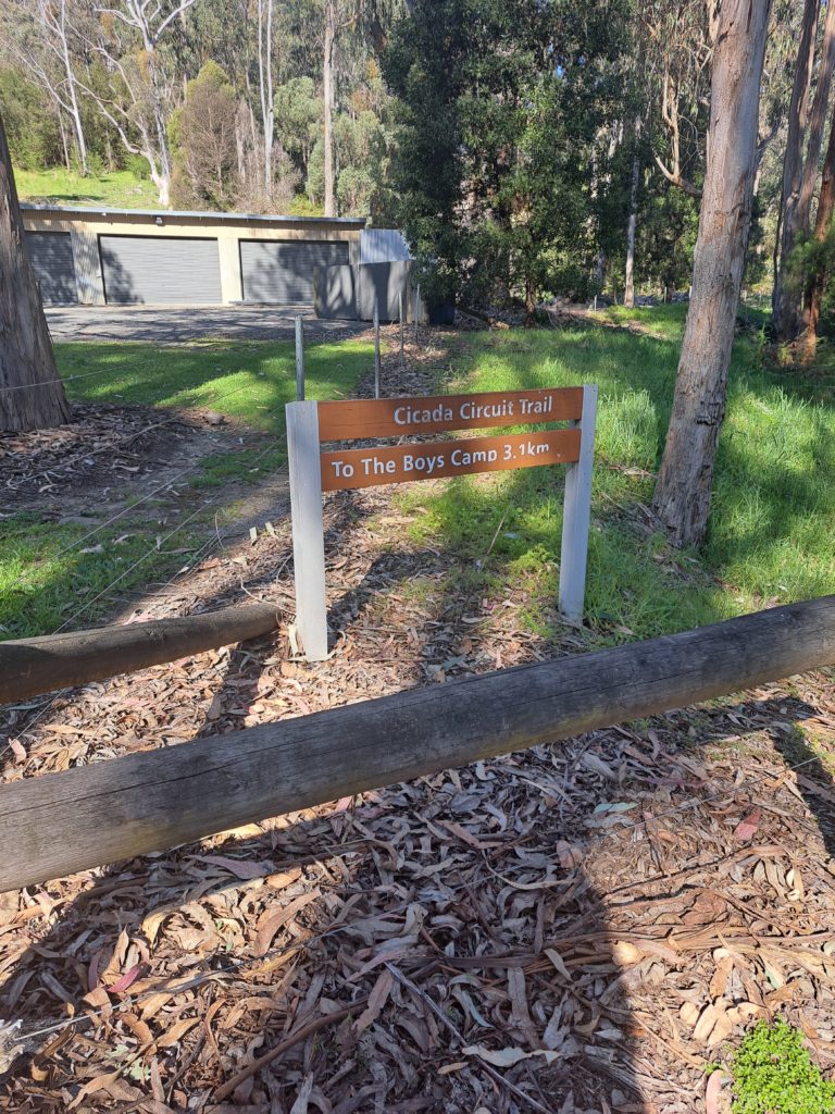 A picture of a sign along a trail that reads cicada circuit trail, to the boys camp 3.1kms. There is a shed in the background.