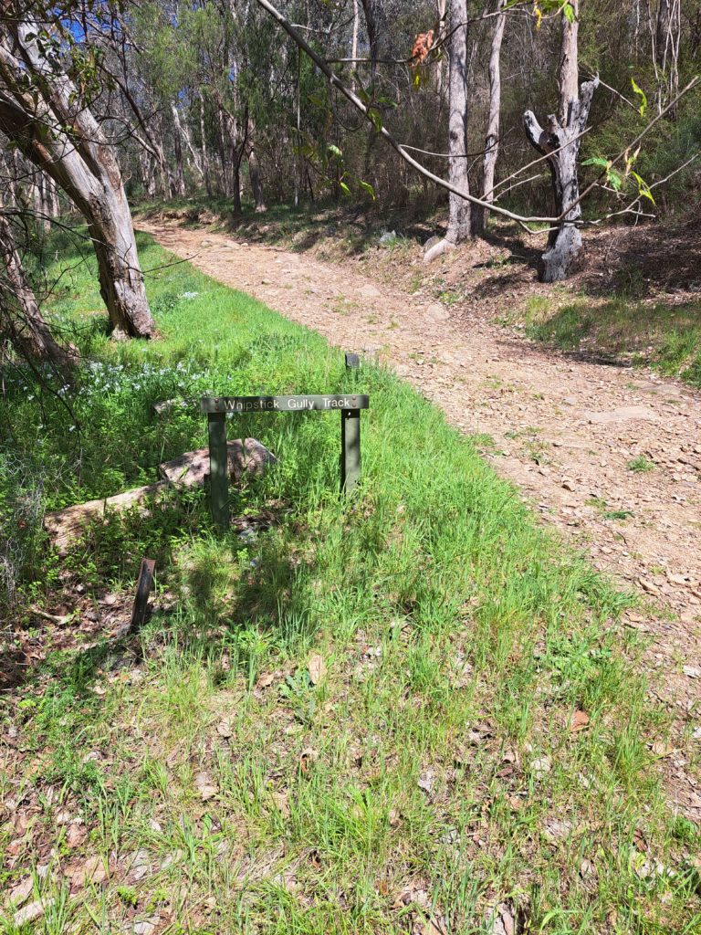 A view of the dirt trail with a sign saying whipstick gully track and lush grass along the edge of the trail.