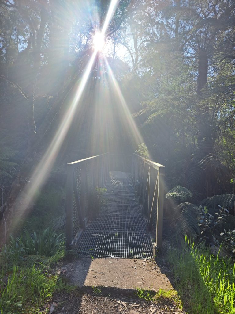 A bridge with the sun pouring through the trees surrounding it.