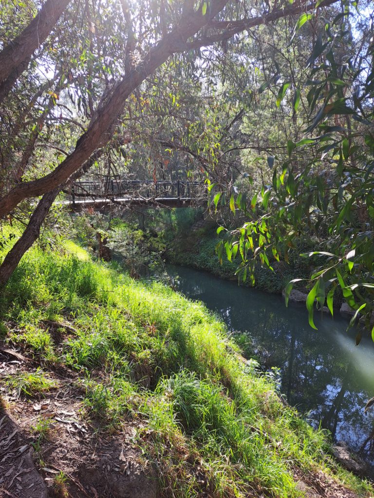 A sunny low angle of the creek and bridge over shadowed by many trees. The grass looks lush and green.