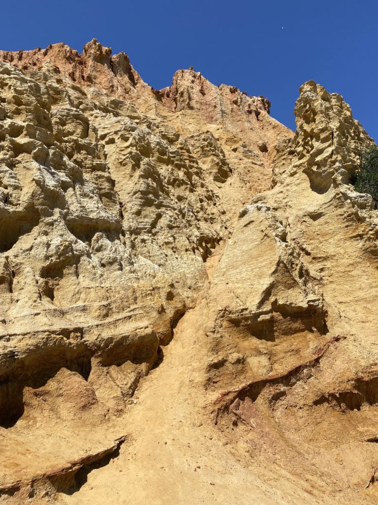 Red Bluff Sea Cliffs